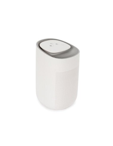TWO-IN-ONE AIR PURIFIER AND DEHUMIDIFIER