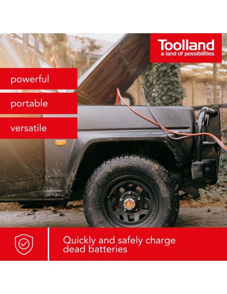 LADER VOOR 12/24 V LOOD-ZUURBATTERIJEN - MET BOOSTFUNCTIE - 9 A