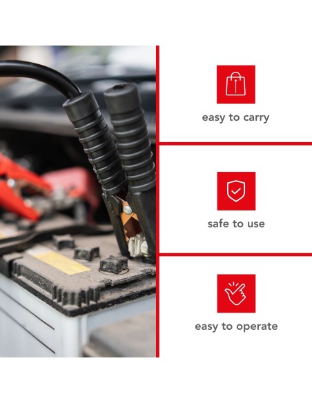 LADER VOOR 12/24 V LOOD-ZUURBATTERIJEN - MET BOOSTFUNCTIE - 9 A