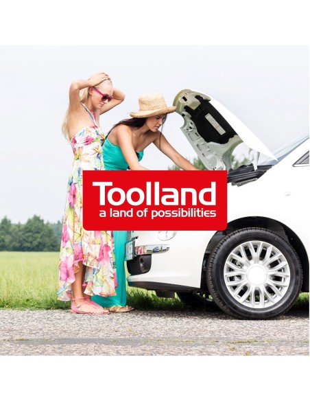 LADER VOOR 12/24 V LOOD-ZUURBATTERIJEN - MET BOOSTFUNCTIE - 9 A