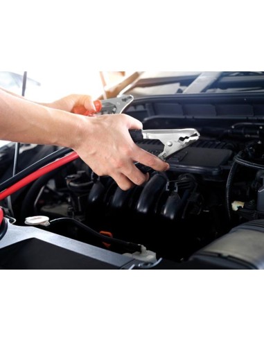 LADER VOOR 12/24 V LOOD-ZUURBATTERIJEN - MET...