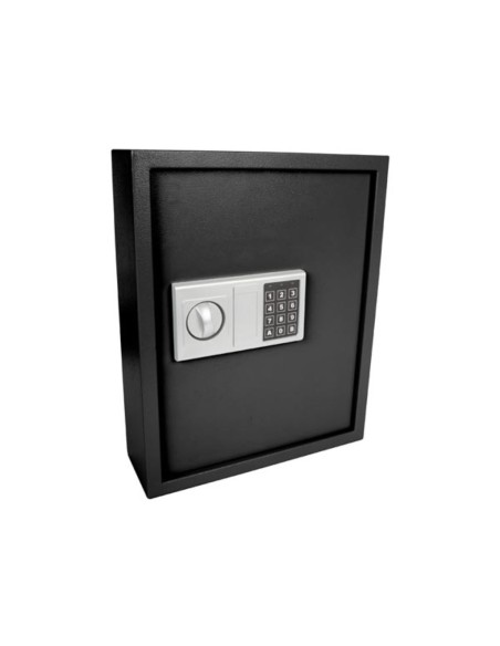 KEY LOCK SAFE - 45 x 36 x 12 cm - 71 keys