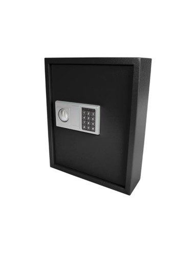 KEY LOCK SAFE - 45 x 36 x 12 cm - 71 keys