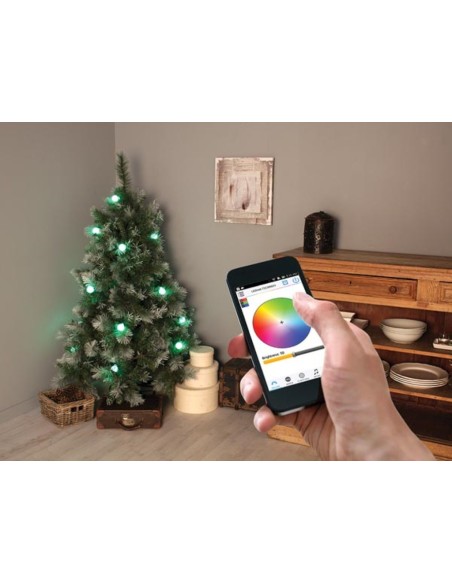 Colourlight - 8 m - 16 RGB-lampen - zwart draad - 12 V