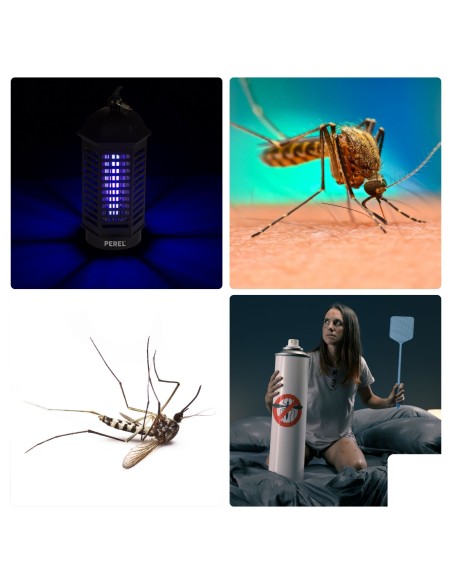 INSEKTENVERNICHTER - 4 W