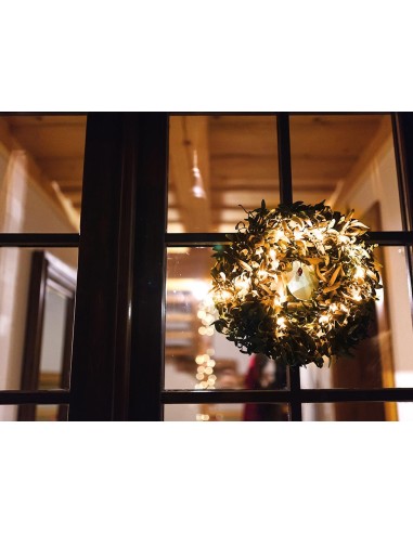 Novalight LED - 6 m - 40 arizona witte lampen -...