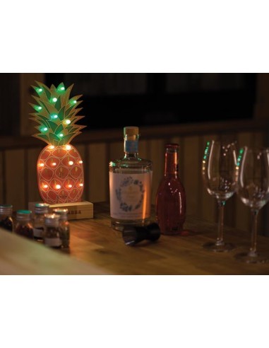 Ananas XL Soldeerset - promoset - VS-versie