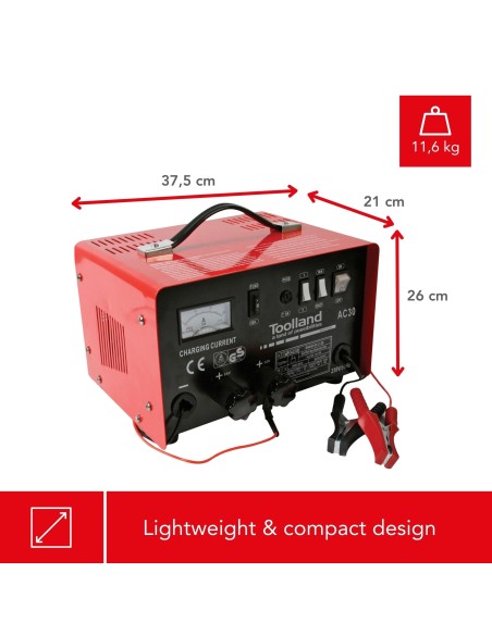 CHARGER FOR 12/24 V LEAD-ACID BATTERIES WITH BOOST FUNCTION - 20 A