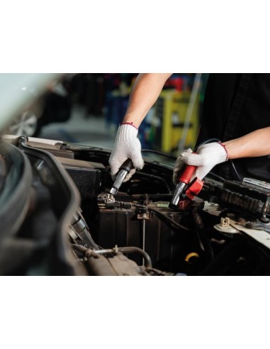 CHARGER FOR 12/24 V LEAD-ACID BATTERIES WITH...