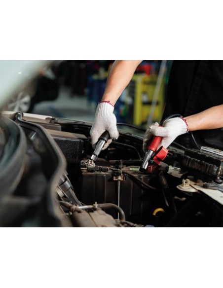 LADER VOOR 12/24 V LOOD-ZUURBATTERIJEN - MET BOOSTFUNCTIE - 20 A