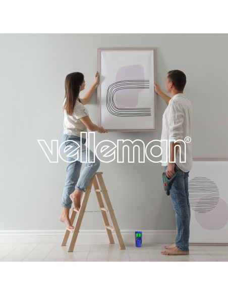 Detector suitable for wood, ferrous metal an AC live wire