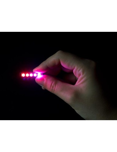 BRIGHTDOT SET - MEDIUM