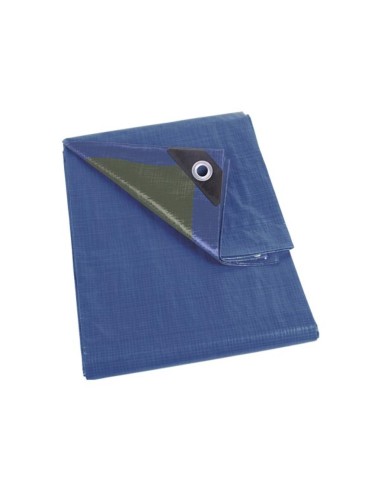 TARPAULIN - BLUE/GREEN - REGULAR - 2 x 4 m