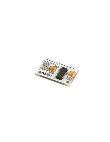 SUPER-MINI DIGITAL AMPLIFIER BOARD