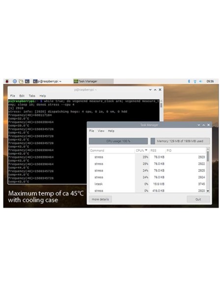 RASPBERRY PI® 4 STARTERKIT (2 GB)