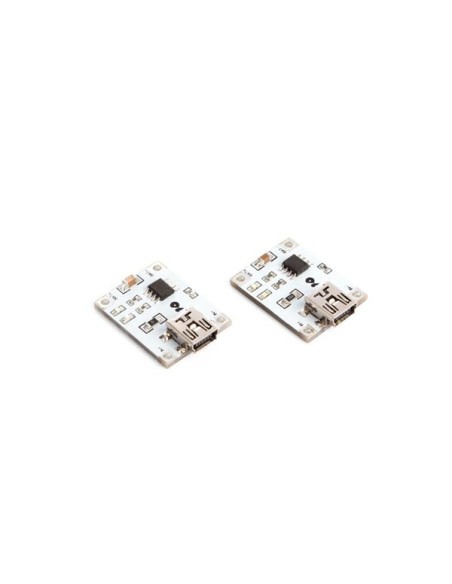 1 A LITHIUM BATTERY CHARGING BOARD (2 pcs)