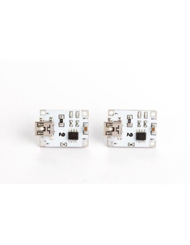 1 A LITHIUM BATTERY CHARGING BOARD (2 pcs)