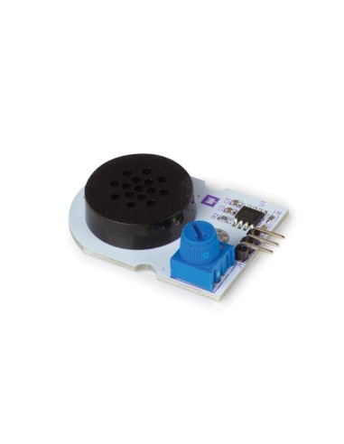 DIGITAL SPEAKER MODULE