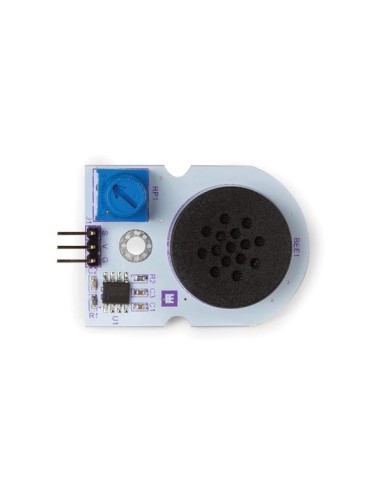 DIGITAL SPEAKER MODULE