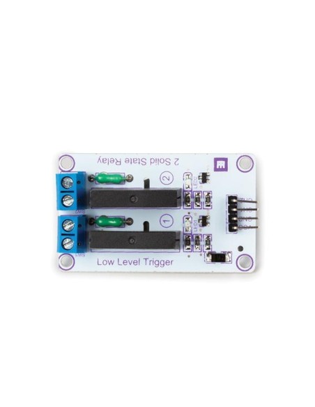 2 CHANNEL SOLID STATE RELAY MODULE