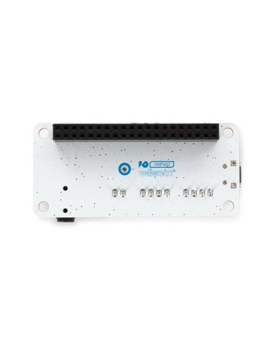 ReSpeaker 2-Mics Pi HAT