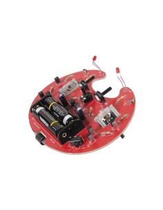 KRUIPENDE MICROBUG