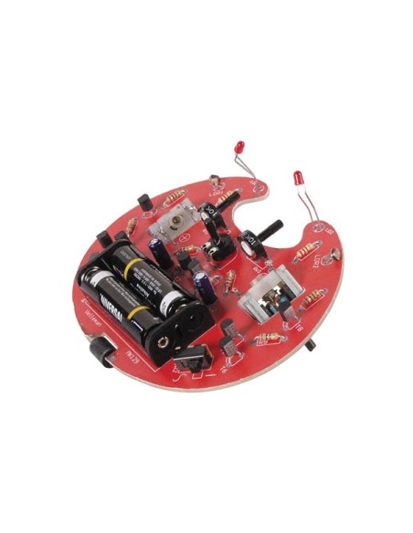 KRUIPENDE MICROBUG