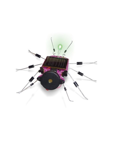 SOLAR BUG