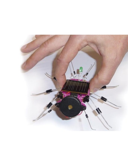 INSECT OP ZONNE-ENERGIE