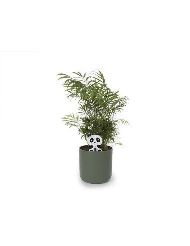 PANDA - PLANTENBEWAKER