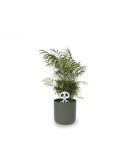 PANDA PLANT GUARDIAN