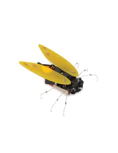 ELECTRONIC CICADA