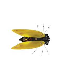 ELECTRONIC CICADA 2