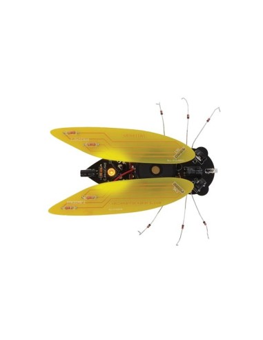 ELECTRONIC CICADA