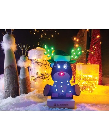 XL-Löt- und Programmierbausatz - Rudolf, das...