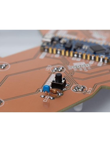 Poly Reindeer XL Soldering & Programming Kit