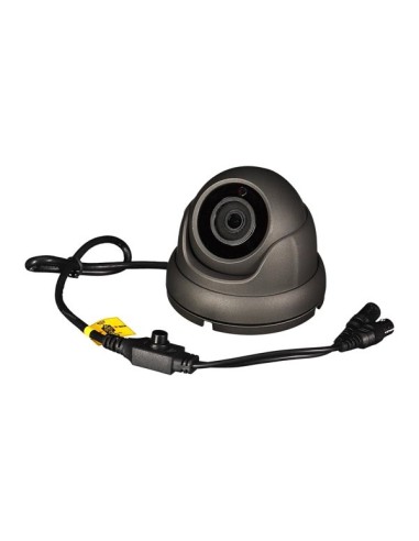 MULTIPROTOCOL-CAMERA - HD-TVI / CVI / AHD / ANALOOG - GEBRUIK BUITENSHUIS - DOME - 1080P - GRIJS