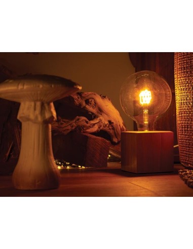 DECO BULB - christmas bulb gift - gold wire -...