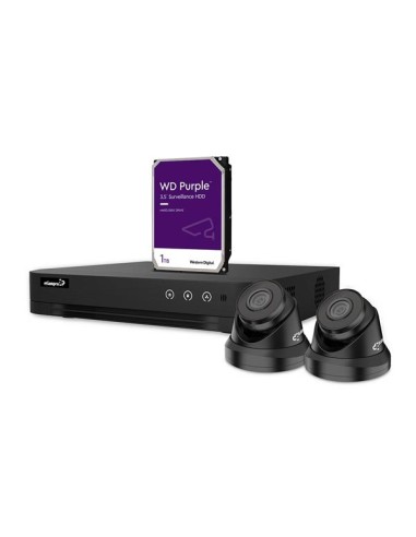 KIT VIDÉOSURVEILLANCE IP - ENREGISTREUR NVR 4 CANAUX - 2 x CAMÉRA DÔME IP - 1 To HD - CÂBLES