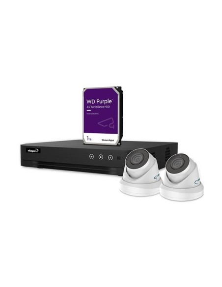 IP-VIDEOBEWAKINGSSET - 4-KANAALS NVR-RECORDER - 2 x WITTE IP DOME-CAMERA - 1 TB HD - KABELS