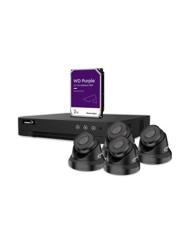 KIT DE VIDEOVIGILANCIA IP - GRABADOR DE RED DE 4 CANALES - 4 x CÁMARA DOMO IP - DISCO DURO DE 2 TB - CABLES