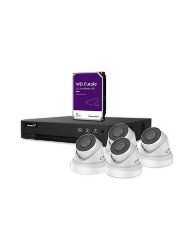 IP-VIDEOBEWAKINGSSET - 4-KANAALS NVR-RECORDER - 4 x WITTE IP DOME-CAMERA - 2 TB HD - KABELS