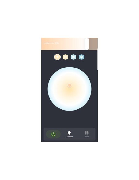 BLUETOOTH MESH LED-DRIVER - KLEURTEMPERATUUR - 100 W - 24 V