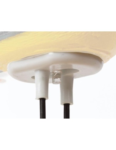 DRY SOIL ALARM - BIRD SINGS WHEN YOUR PLANT...