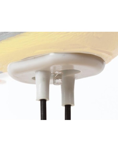 DRY SOIL ALARM - BIRD SINGS WHEN YOUR PLANT NEEDS WATER - FINCH