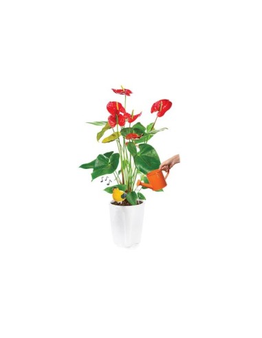 DRY SOIL ALARM - BIRD SINGS WHEN YOUR PLANT...