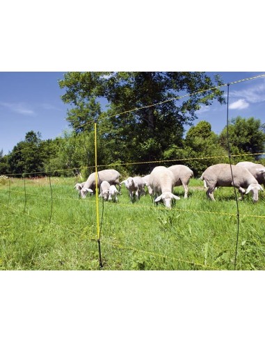 EasyNet schapennet Hoogte: 105 cm, 50M