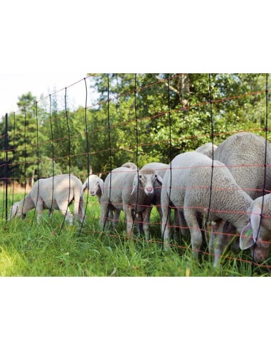 Filet Titan-Net 90cm 50m simple pointe