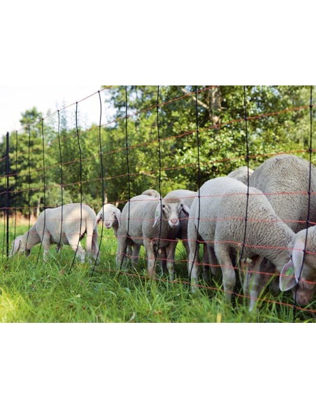 Filet Titan-Net 90cm 50m simple pointe