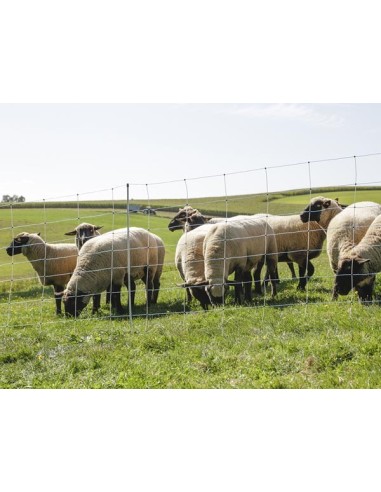 WolfNet Vario 108 cm Type TITAN, enkele pen, 50M